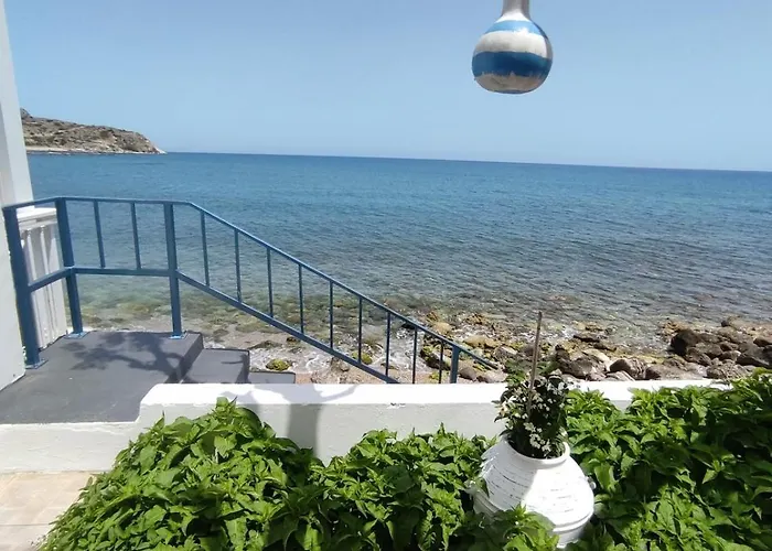 Amalia أرخانجلوس